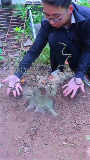 Lại là 1 em Sung . #bonsai #caycanh #demonslayer #xuhuong