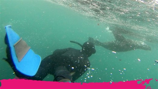 Top 10 Things to Do in Cape Town, South Africa