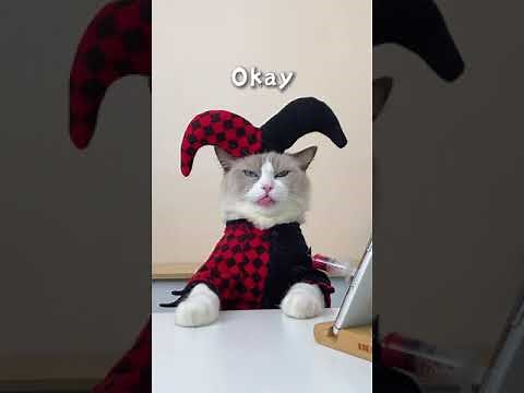 That Little Puff Compilation | Last October collection🍰🍝