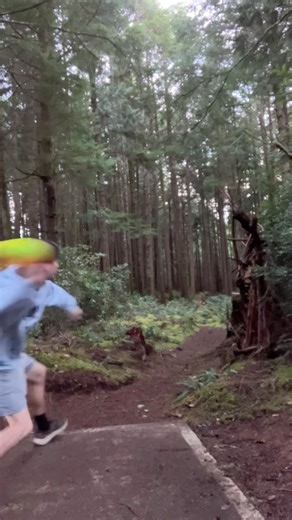 Just watch the flex of this flight 🌦️🔥#discgolf#golf