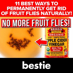 3K views · 79 reactions | 11 BEST Ways To Permanently GET RID Of...