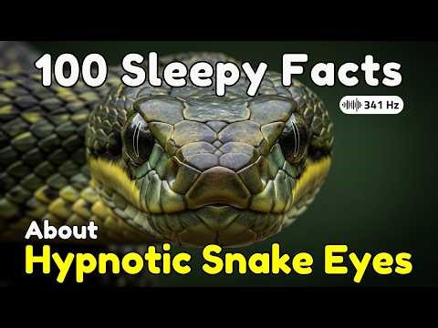 The Most Relaxing Facts About Hypnotic Snake Eyes | Science Sleep Stories