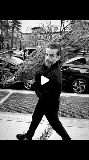 Elvira Lind on Instagram: "Man carrying tree #seasonaljoy"