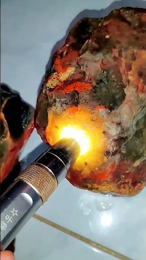 BIO SOLAR LUMUT DARI PEDESAAN