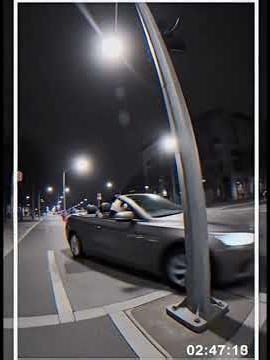 SHOCKING NEWS: Panda Bear Crashes at Full Speed, Goes Flying… You Won’t Believe Where He Lands 😱🐼