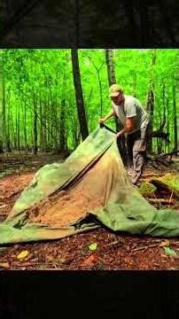 Forest Survival, Building a Bird-Nest Treehouse for an Overnight Stay #wildlife #survival #camping