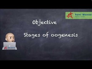 Oogenesis part 1 (grade 12 LS)