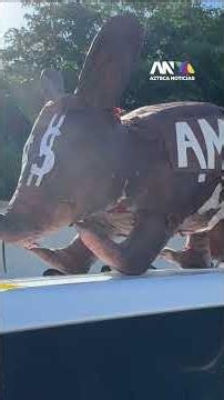 Manifestantes apoyan a Maru Campos frente a la FGR en Ciudad Juárez