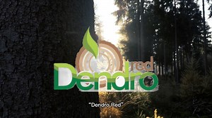 El Laboratorio de Dendroecología nace con un objetivo claro: crear un espacio de colaboración en beneficio de la generación de conocimientos científicos. Aquí un poco de su historia | Laboratorio de Dendroecología