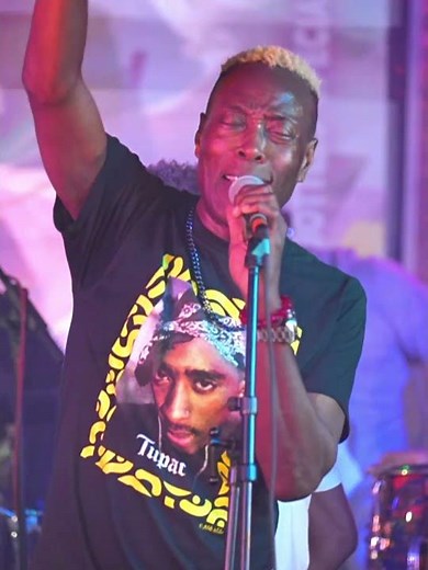 Disip live performance