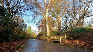 31 reactions | Take a moment out to enjoy the sounds of nature from our Wilson Walk  | Birmingham Botanical Gardens | Facebook