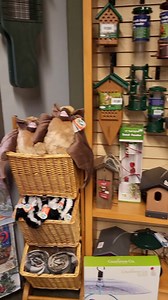 29 reactions · 13 shares | It's Small Business Saturday, and there isn't a store in town like our Wildcat Glades Nature Store. We have things such as bird feeders, nature books, nature jewelry, and much more. If you haven't come by, today would be the perfect day to get out and support a local small business. We are here until 3, located at 201 W Riviera Dr in Joplin. See you soon! | Wildcat Glades | Facebook