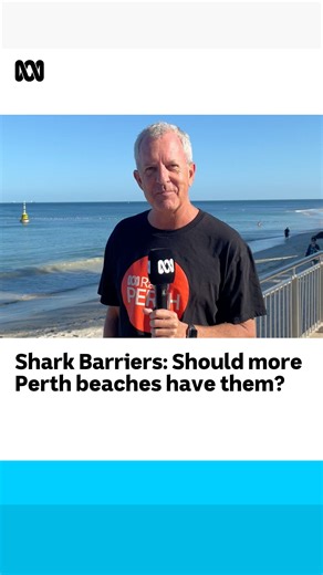 29K views · 317 reactions | Shark barriers: Should more Perth beaches...