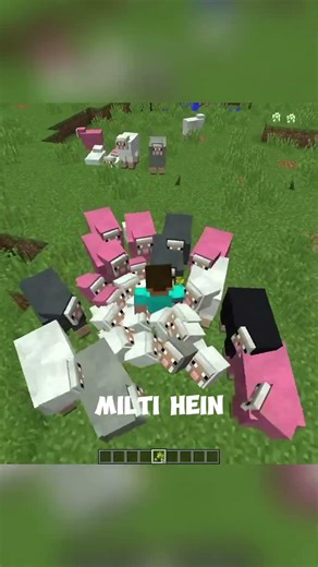 The MOST Weirdest Seed in Minecraft!