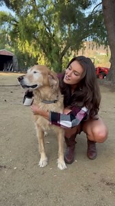 Meet Rufus: Dog adventure with Rachel Pizzolato