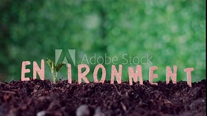 close up Wooden text environment and the globe over blurred green nature background.growing plant for save the earth concept.World environment day concept. Stock Video
