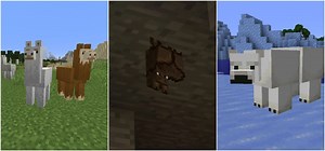 5 least useful mobs in Minecraft in 2021