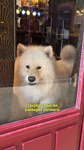 42K views · 4.8K reactions | J’explore tous les passages du 2e arrondissement (partie 1) Passage du Bourg-l’Abbé Passage du Grand-Cerf Galerie Vivienne Passage des Deux-Pavillons Suivez-nous pour la suite des passages dans notre prochain épisode   @lecomtedepaul #passage #passages #paris #parisien #visiteparis #pariscity #parismaville #culture | Paris Secret | Facebook