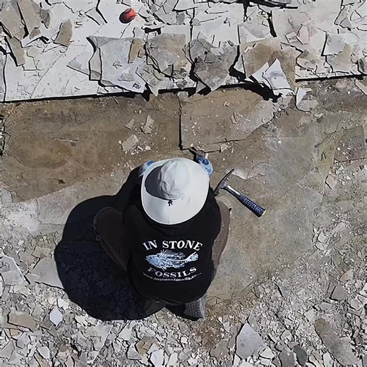 People often ask what sets our quarry apart from others in the area. For us, it comes down to experience, passion, and a commitment to science. We’ve been working in the Green River Formation for over 22 years, with more than a decade dedicated to paleo tourism. Over that time, we’ve refined our approach to make every tour both educational and unforgettable, led by knowledgeable guides who care deeply about the science behind the fossils. What makes our experience special is the balance between 