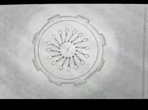 Beauty and the Beast (1991) - Pencil Tests