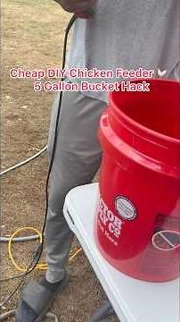 How to make a DIY Chicken Feeder with a 5 gallon bucket