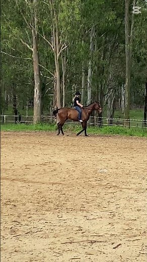 Bare back riding with no bridle