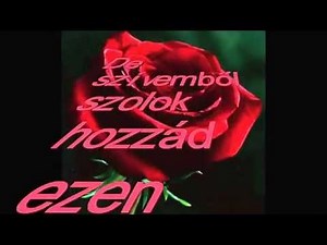 Boldog születésnapot drága kislányom.