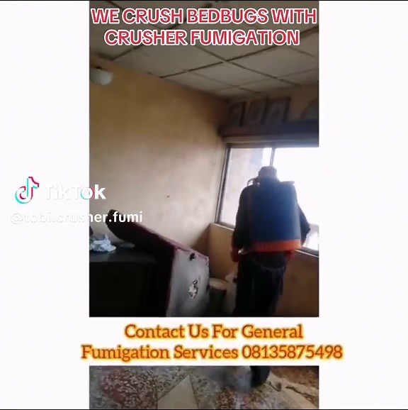 Effective Bed Bug Removal with Fumigation