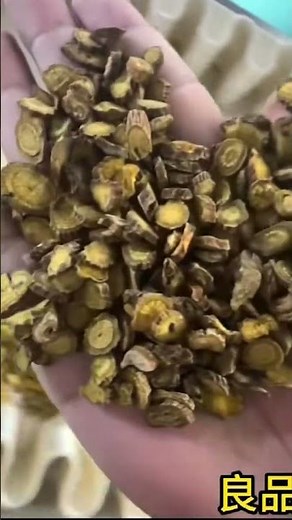 Surface defect detection vision equipment