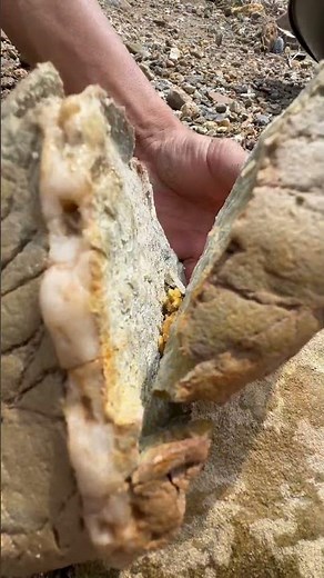 gold prospecting for beginner ✅🧽