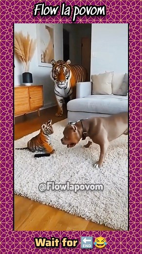 362K views · 20K reactions | Wait for .... . . . . . . . #tamilvoiceoverseries #tamil #tamilvoice #tamilvoiceover #voiceover #comedy #funny #tranding | flowlaPovom | Facebook