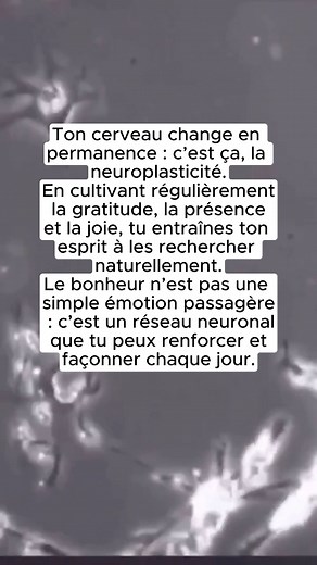 La neuroplasticité, c’est la capacité du cerveau à se transformer tout au long de la vie. Chaque pensée, chaque habitude, chaque émotion crée de nouveaux chemins neuronaux. Autrement dit : tu peux littéralement reprogrammer ton esprit pour plus de calme, de gratitude et de joie 🌿💫 #corpshumain #sante #laseche | LaSèche