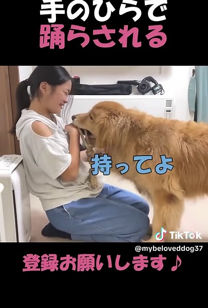 愛犬の心を転がす姉の理不尽な日常