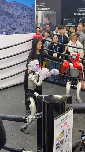 Saw in China: Robots can fight in a box now #robot #robotboxing