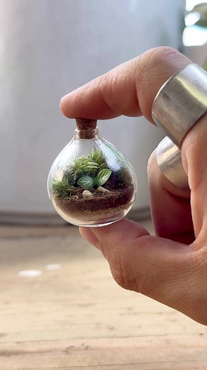 Miniature Terrarium Tutorial: How to Create a Cutesy and Demure Moss Terrarium