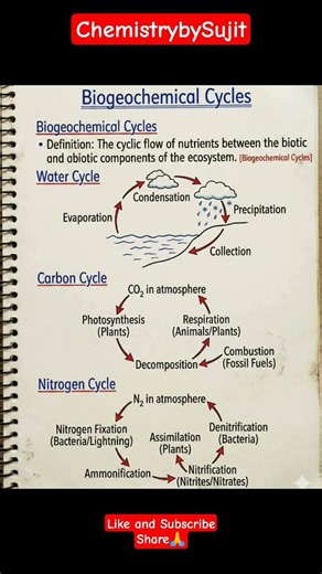 our environment class 10 rapid revision | #cbseclass10 #sciencechemistry #scienceshorts #notecbse