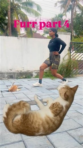 Home Workout With My Cat 😹 | Cute Pet Joins My Exercise Routine