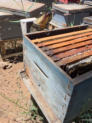 Adding a Second Floor to the Beehive and Queen Excluder Setup