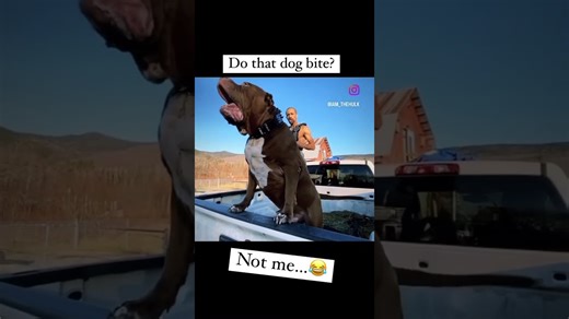 What happens when people ask if my pit bull bites