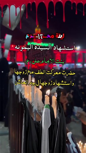 #17محرم_استشهاد_السيدة_ميمونه #عظم_الله_اجورنا_واجوركم_بهذا_المصاب #محرم_عاشوراء #😭😭😭 #fyp
