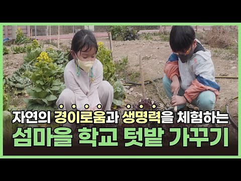 자연의 경이로움과 생명력을 체험하는 섬마을 학교 텃밭 가꾸기 [교육부 국민 서포터즈]