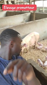 222K views · 4.9K reactions | TU ES DÉBUTANT,NOVICES, TECHNICIEN,...