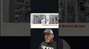 Lets Talk About Lab Grown Meat Banned