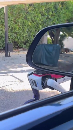 Ruh roh! Trump had his Secret Service robo-cop dog patrolling the Mar-A-Lago Halloween party. He finally found a dog that would love him unconditionally. I sure hope the doggo doesn't upset Kristi Noem. | Dianne Richardson-Conda