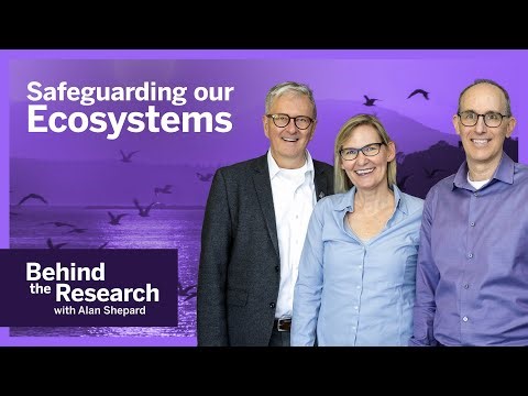 Tracking Migratory Birds | Behind the Research