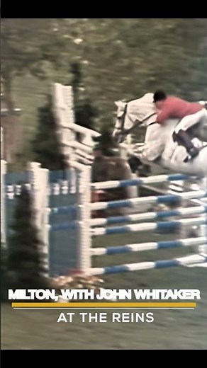 A Legend's Legacy: Remembering Milton, the Million-Pound Horse!