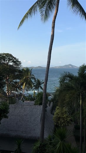 Ko Samui 🇹🇭🌺🥥 #kosamui #thailand #summer