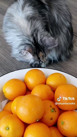 Candied Tangerine Peel Candy Recipe – Sweet Homemade Treat