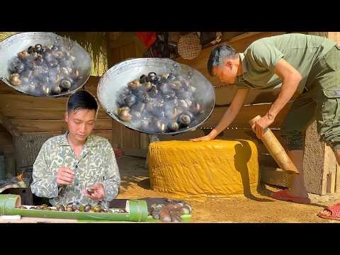 How I Built a Traditional Clay Stove in the Wild | Forest Farm Cooking