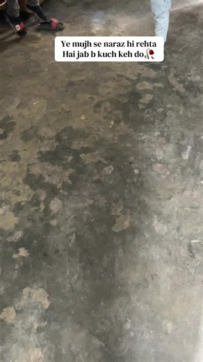 Unfreezing Accounts and Learning Arabic: A Family Struggle